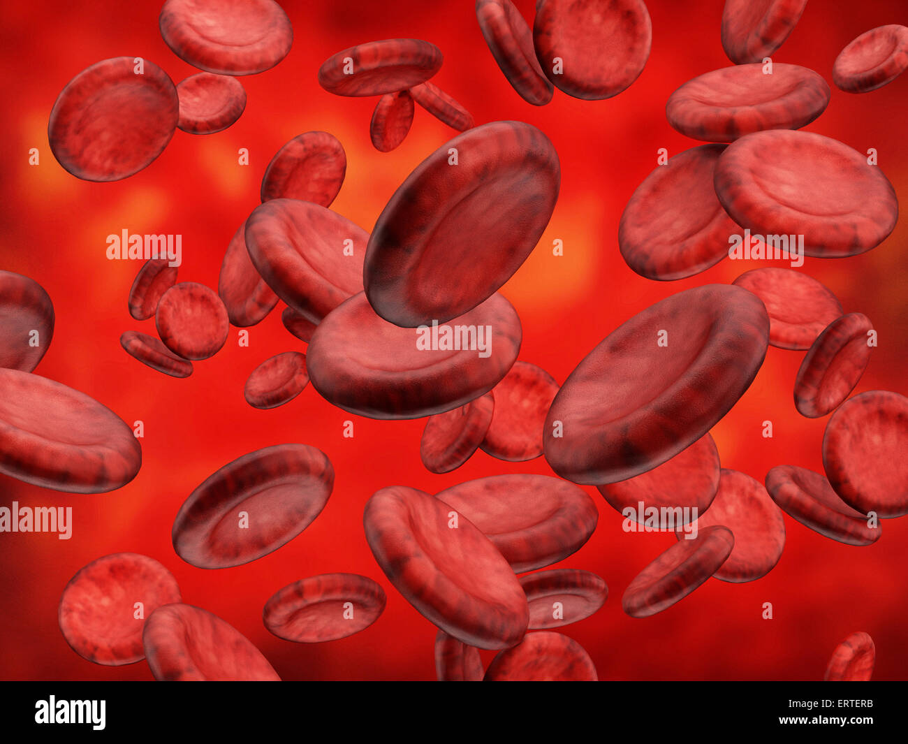 Red blood cells flowing inside the vein Stock Photo