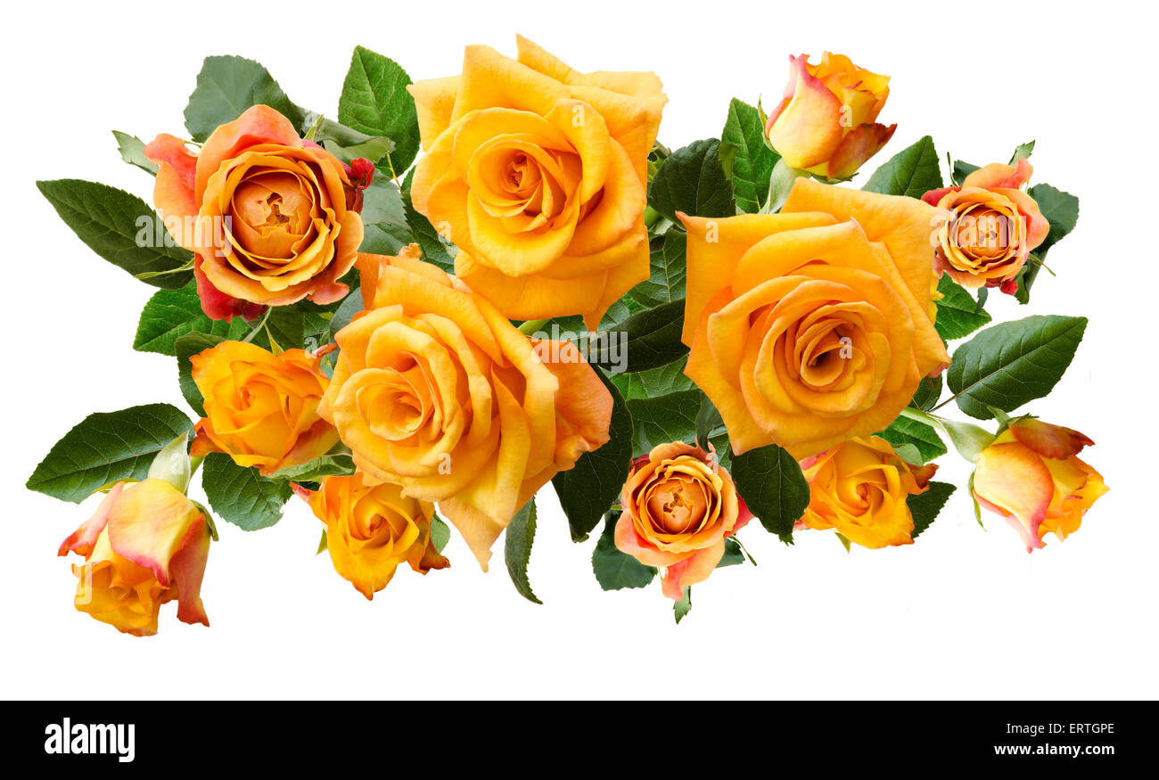 Beautiful bouquet of yellowish orange roses isolated on white background. Overhead view. Stock Photo