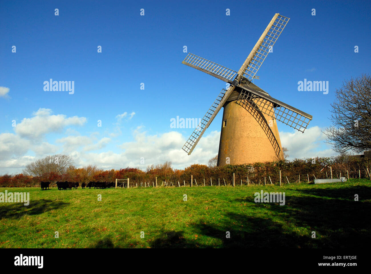 Bembridge windmill isle of wight england UK europe Stock Photo