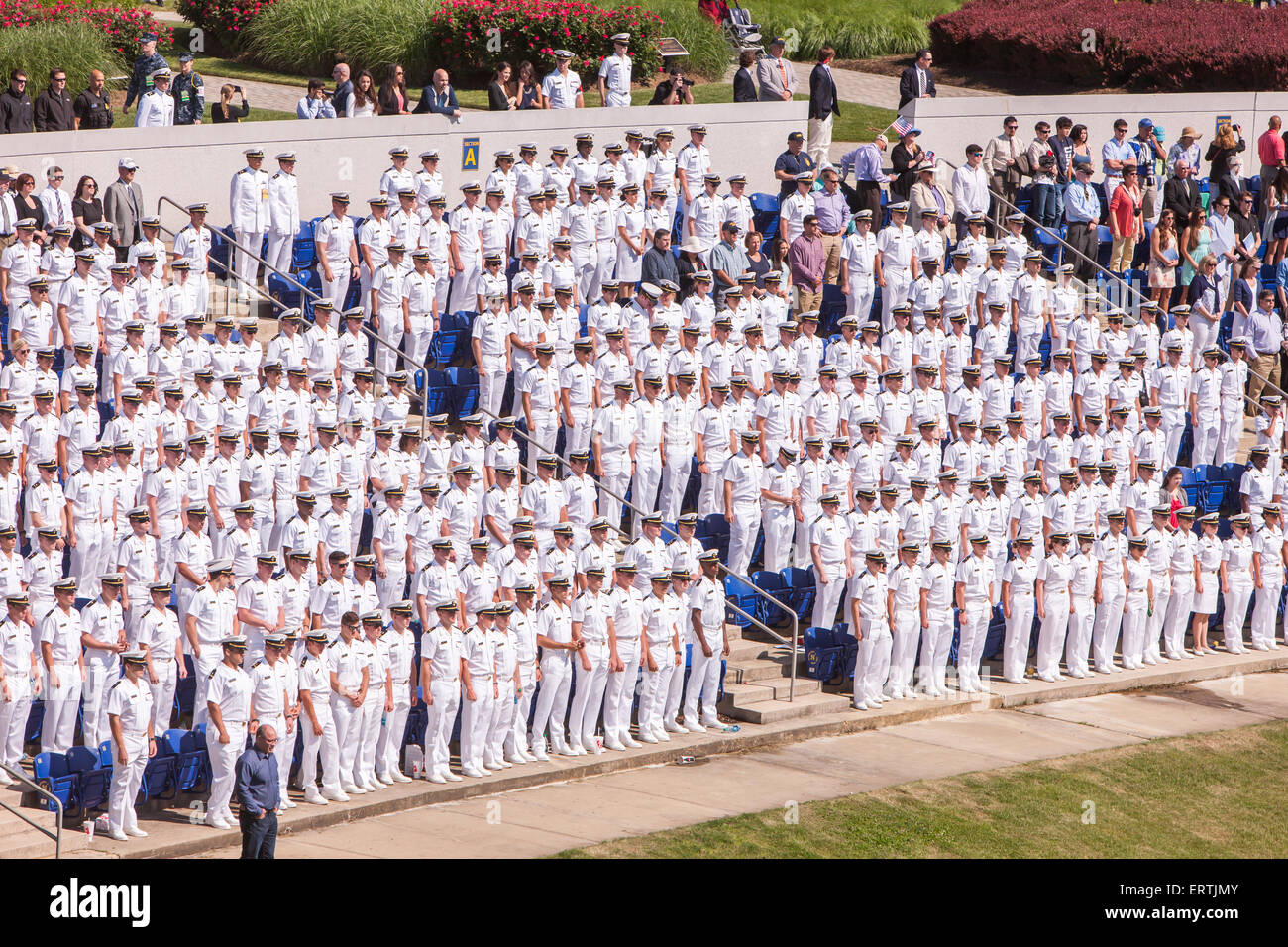 Midshipmen watching from the bleachers stand during the 2015 US Naval Academy Graduation Ceremony. Stock Photo