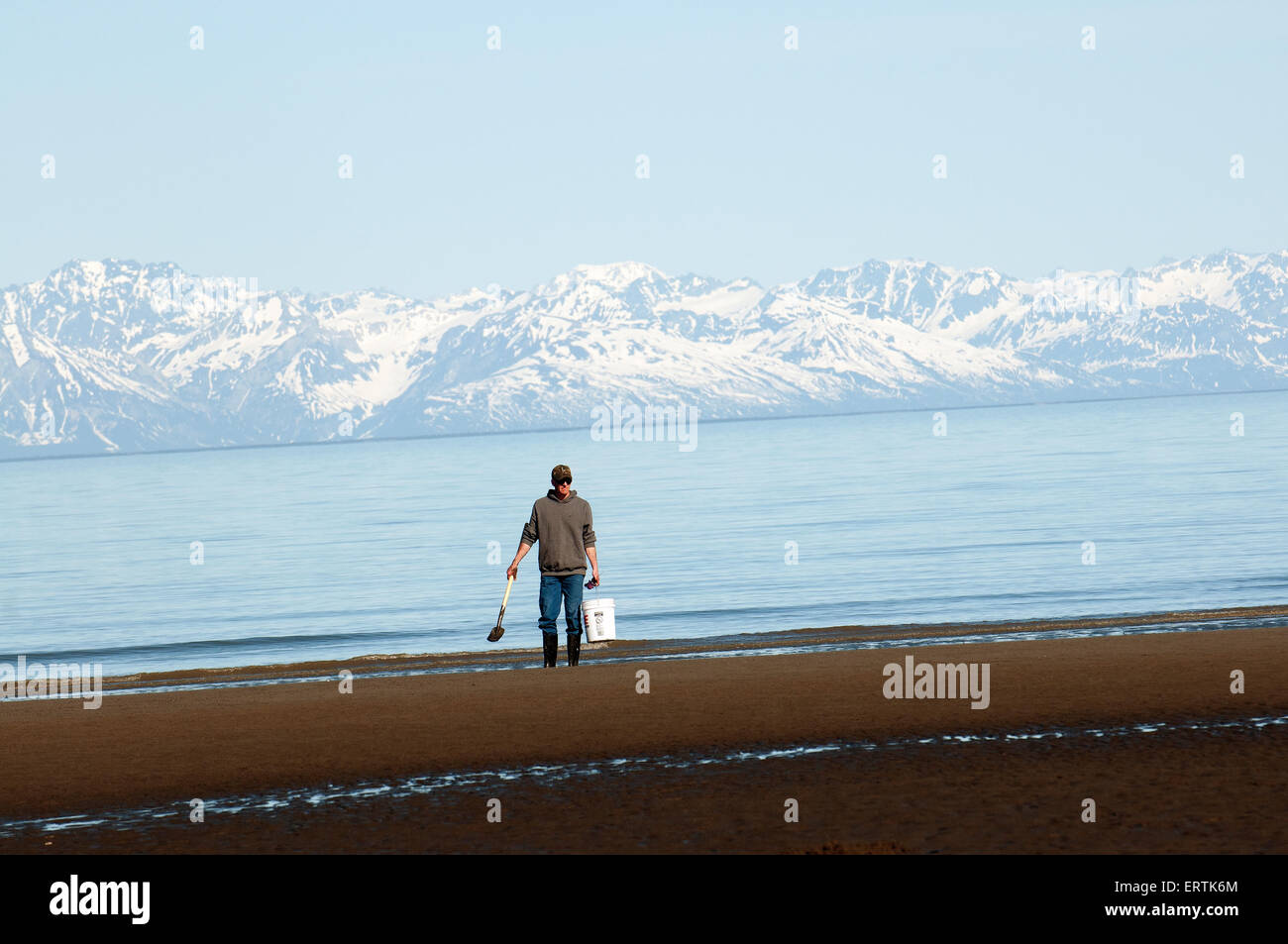 Man carrying bucket of clams at Clam Gulch on Cook inlet. Stock Photo