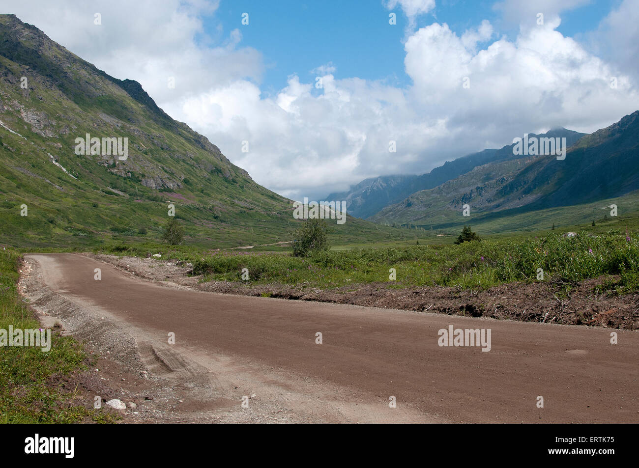 Denali Highway from Cantwell to Paxson in Alaska Stock Photo Alamy