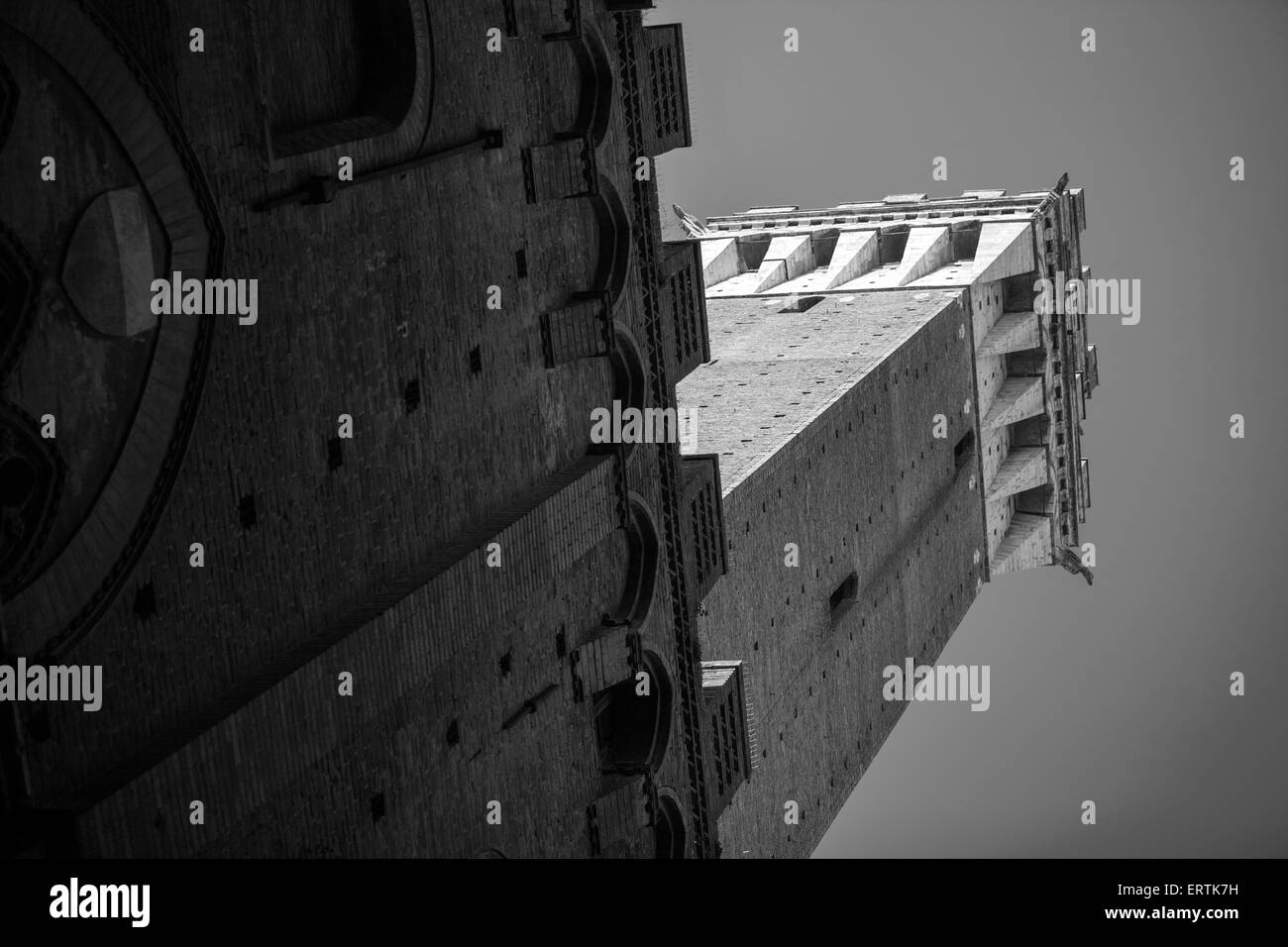 Torre del mangia Black and White Stock Photos Images Alamy