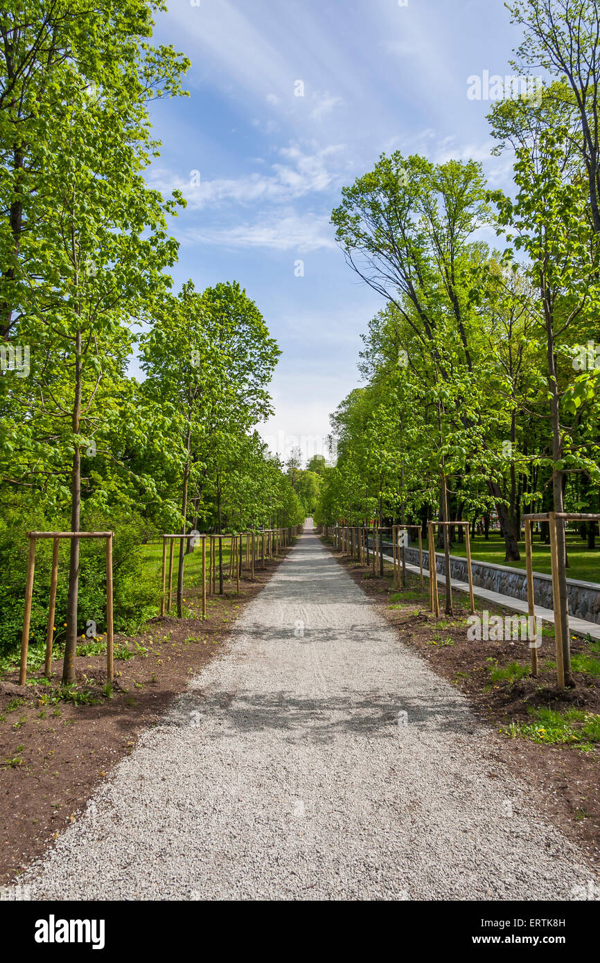Alley green trees river hi-res stock photography and images - Alamy