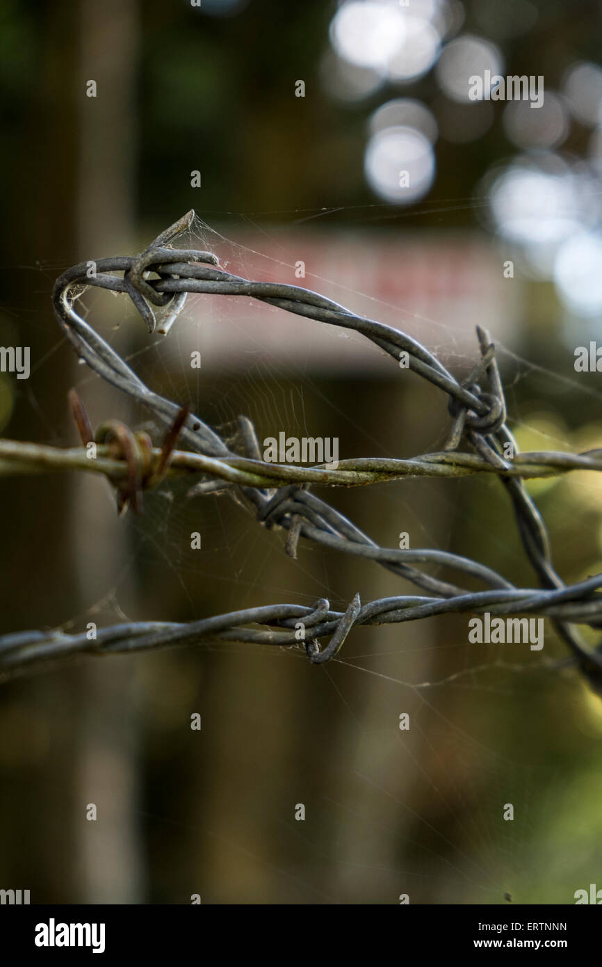 Barbed wire coil hires stock photography and images Alamy