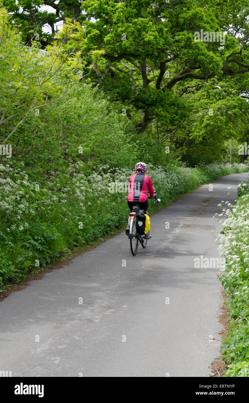 Woman cycling down a country lane in spring Stock Photo