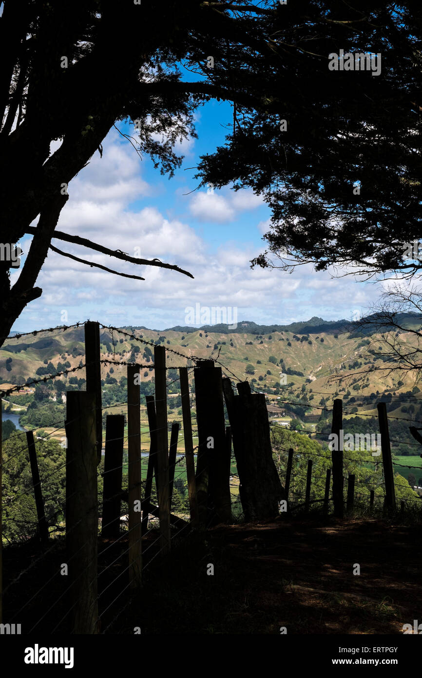 Barbed wire fencing at the border of a farm in Tauramouru, New Zealand