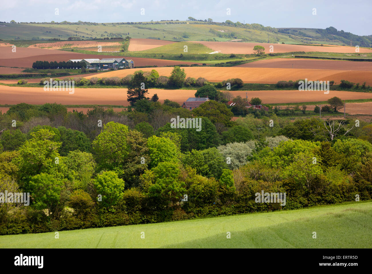 Landscape trees fields farms farm fertile land small business park