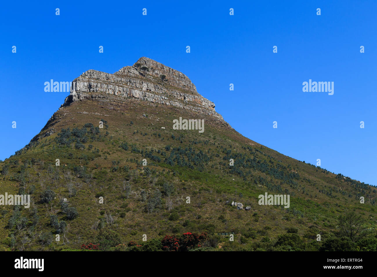 A view of Lion's head, famous mountain in Cape Town Stock Photo Alamy