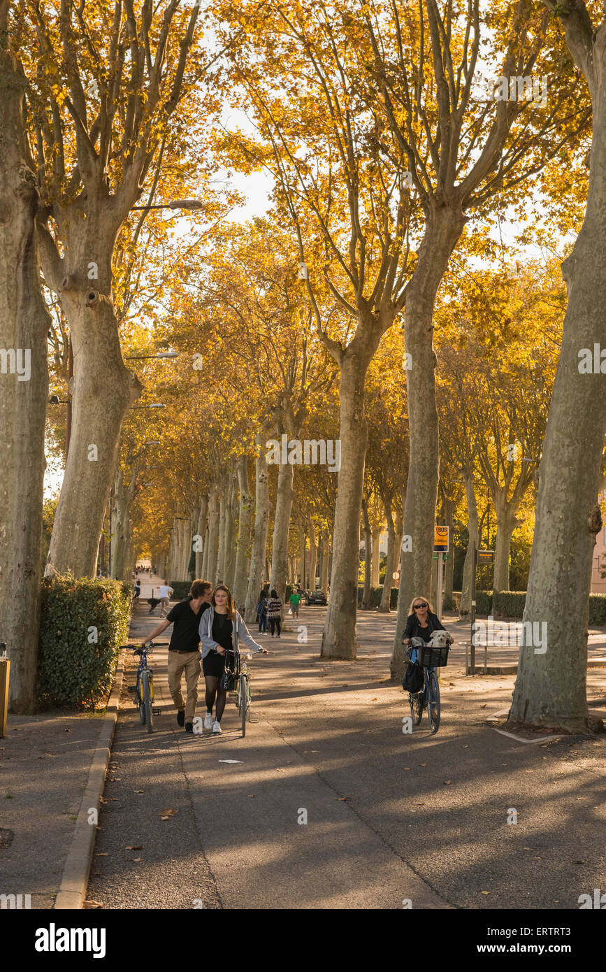 Cours Dillon, a treelined French avenue in Toulouse city centre