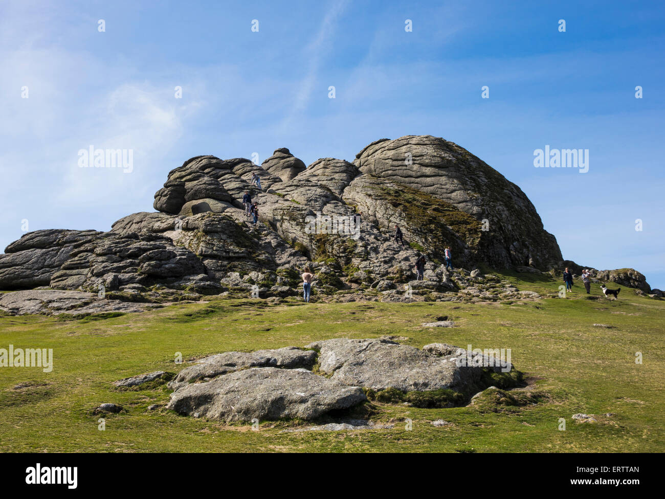 Haytor or Hay Tor rocks with tourists, Dartmoor, Devon, England, UK Stock Photo