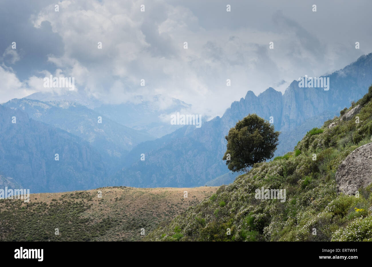 Mare E Mare Stock Photos Mare E Mare Stock Images Alamy