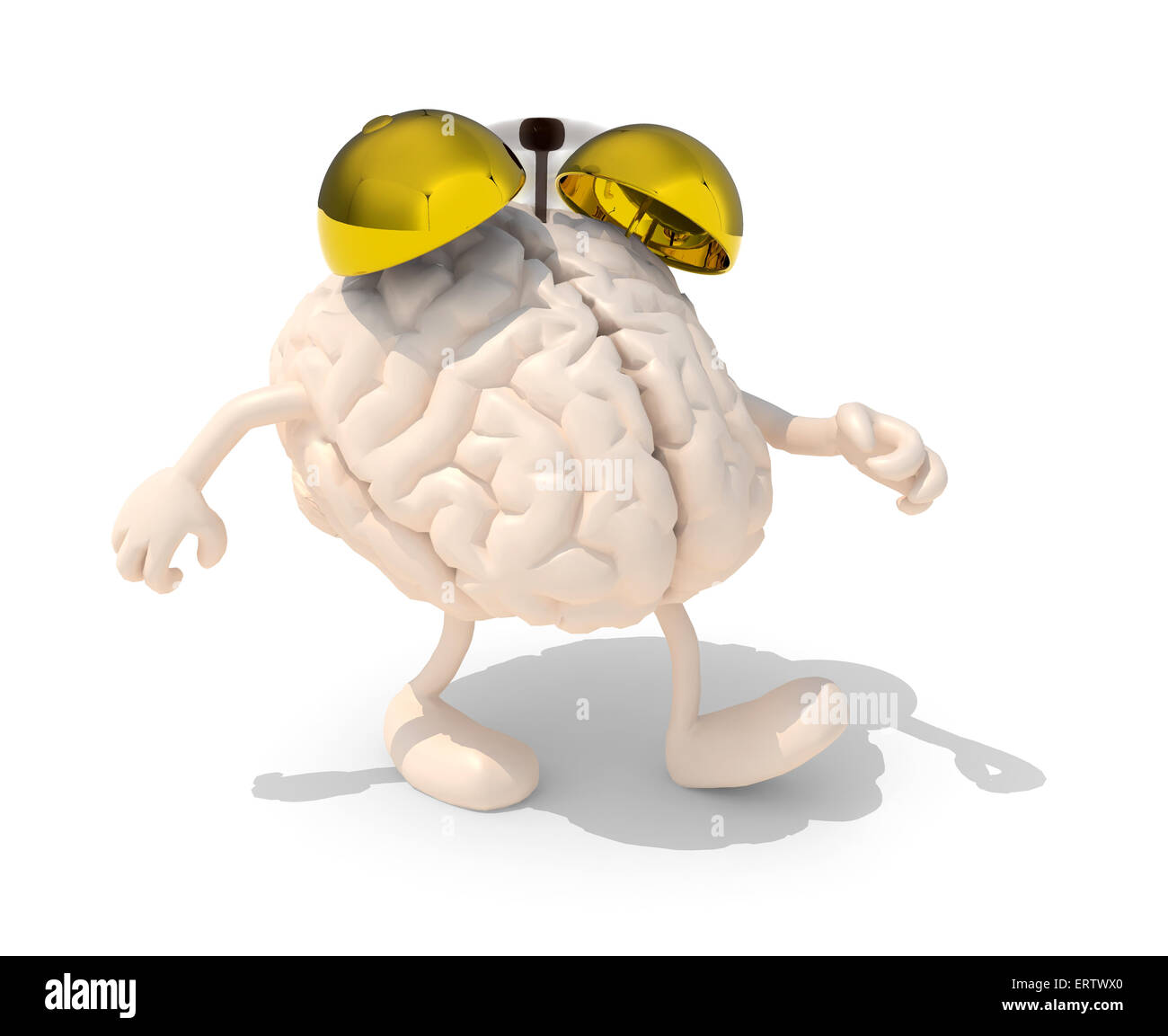 human brain like alarm clock, isolated 3d illustration Stock Photo