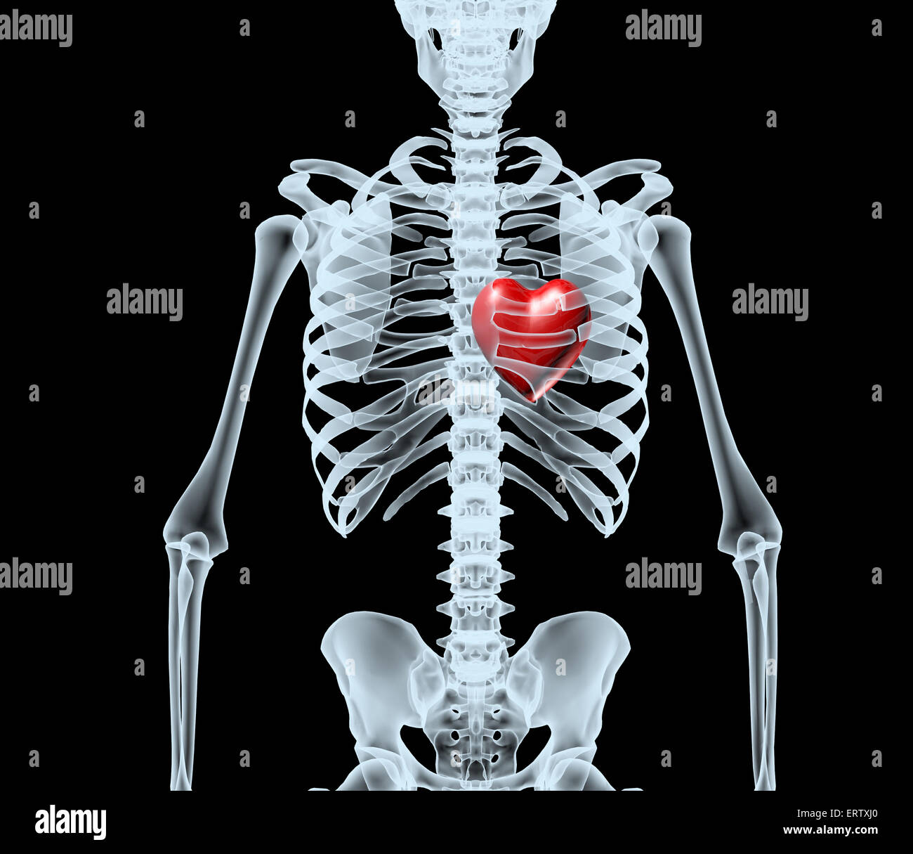 skeleton X-Ray displaying red heart. isolated 3d illustration on a black background Stock Photo