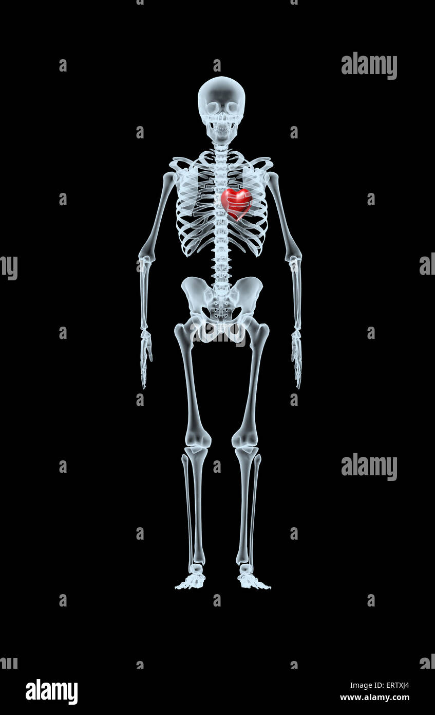 skeleton X-Ray displaying red heart. isolated 3d illustration on a black background Stock Photo