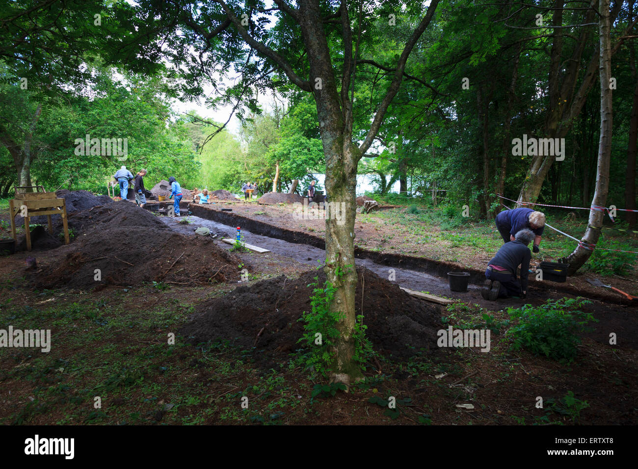 Archaeologists working on a Bronze Age excavation trench in a forest Stock Photo