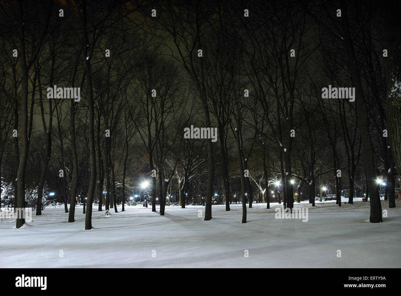 Winter landscape of city park at night Stock Photo - Alamy
