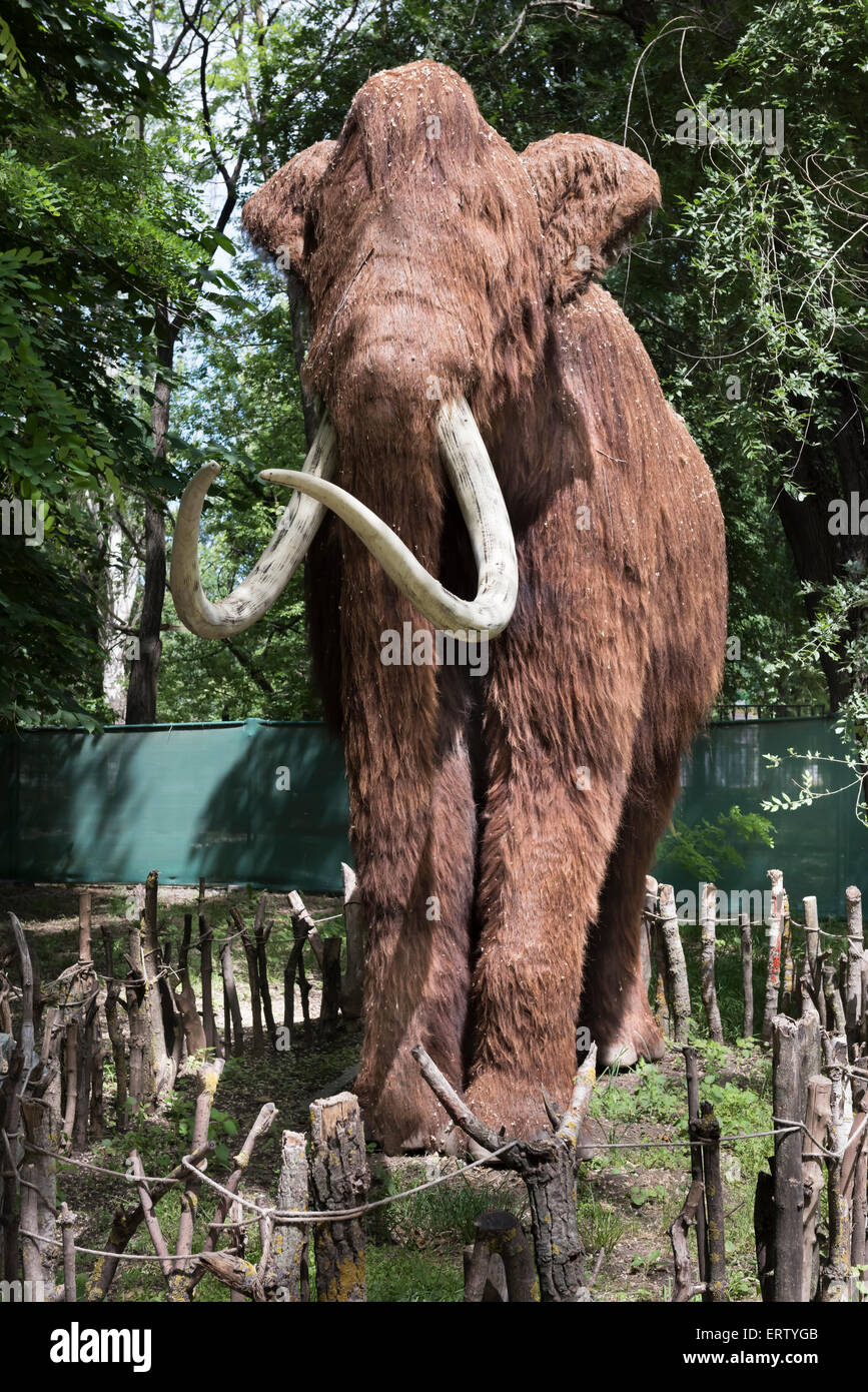Mammoth PERIOD 4,8 million 4500 years ago Stock Photo Alamy