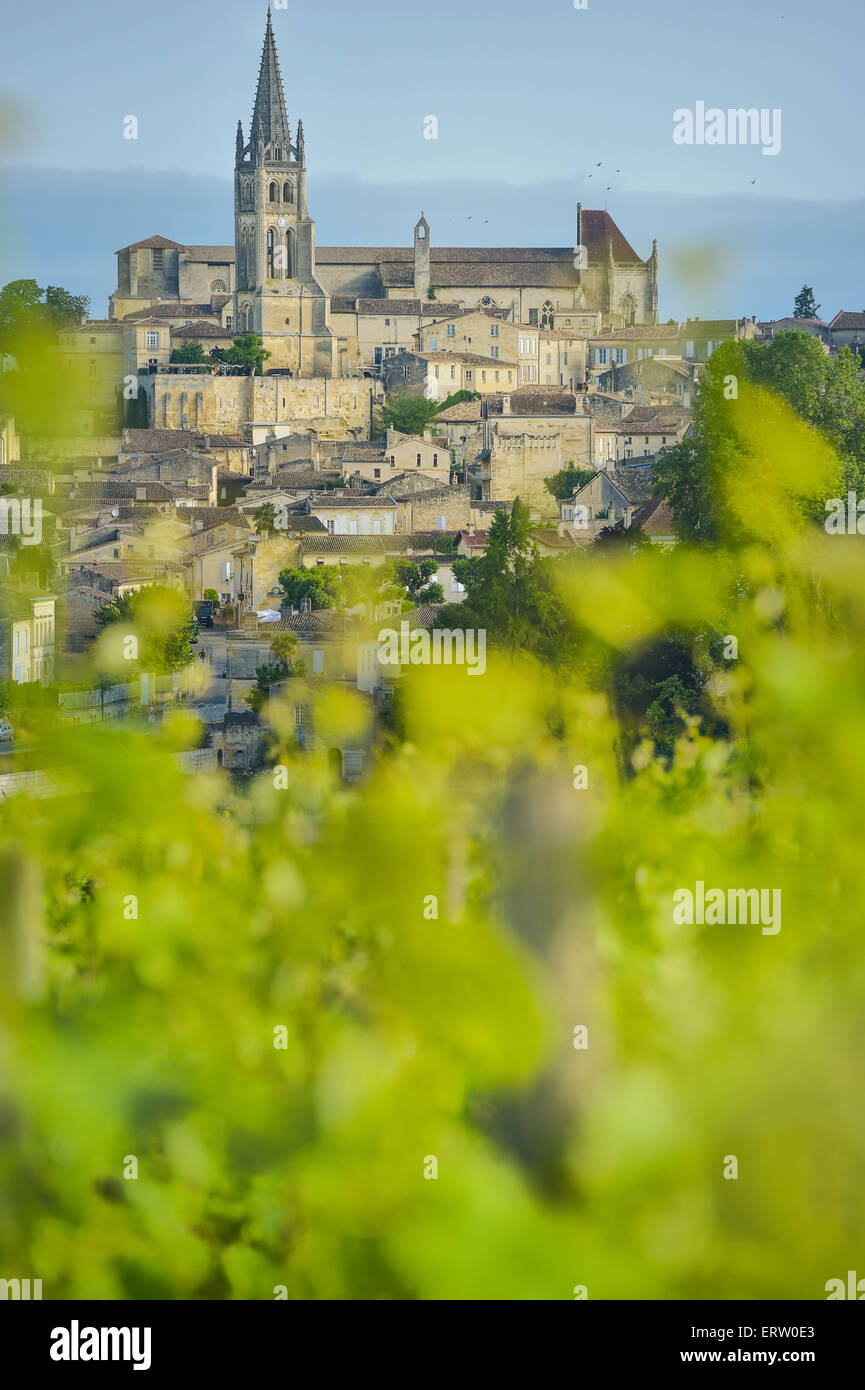 Vineyard and village of Saint-Emilion Stock Photo