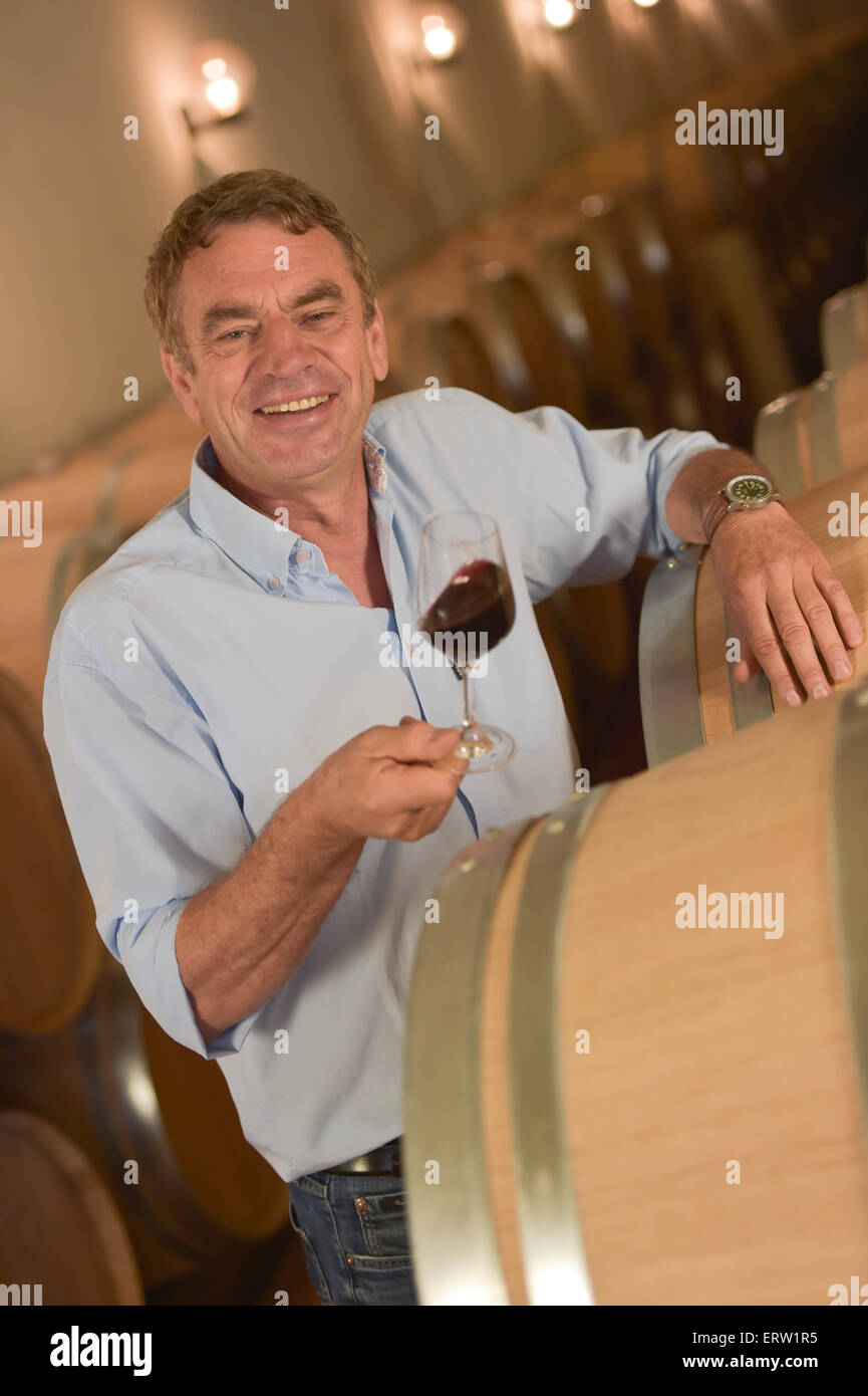 Man tasting wine in cellar, Saint-Emilion, Bordeaux Wineyard, France, Stock Photo