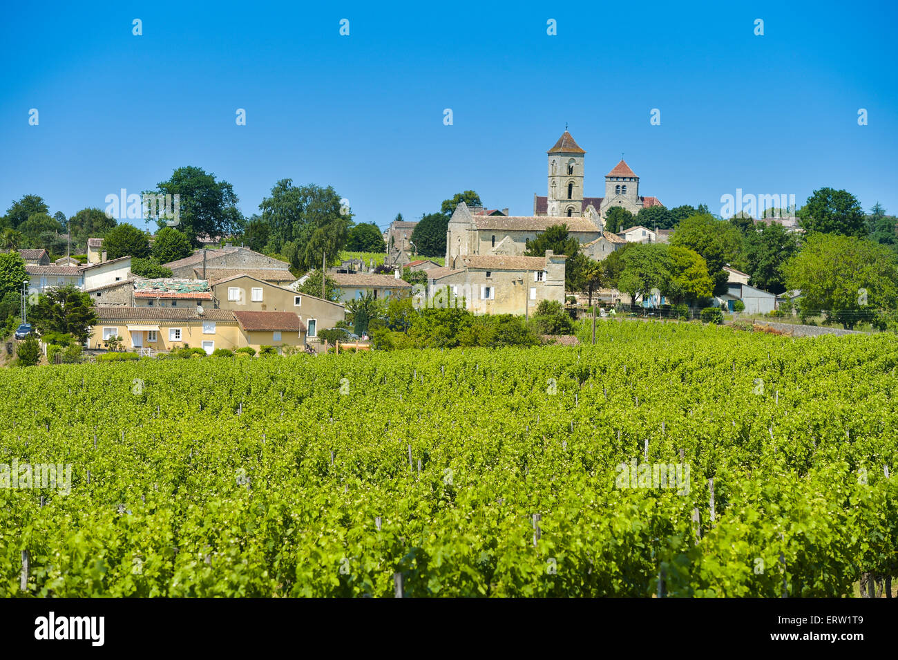 Vineyard and village of Montagne Saint-Emilion Stock Photo
