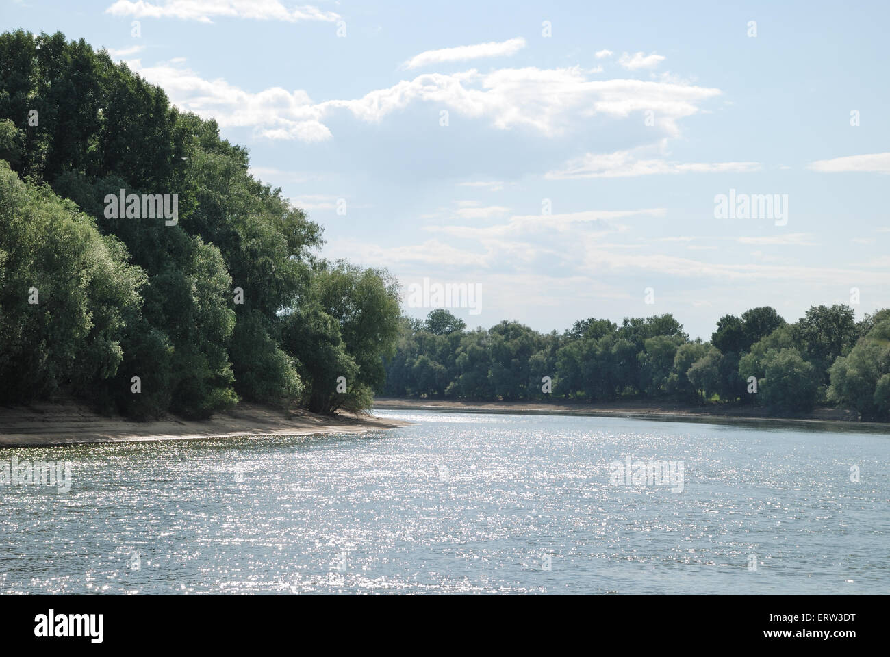 Summer landscape. Green trees on blue sky background Stock Photo - Alamy