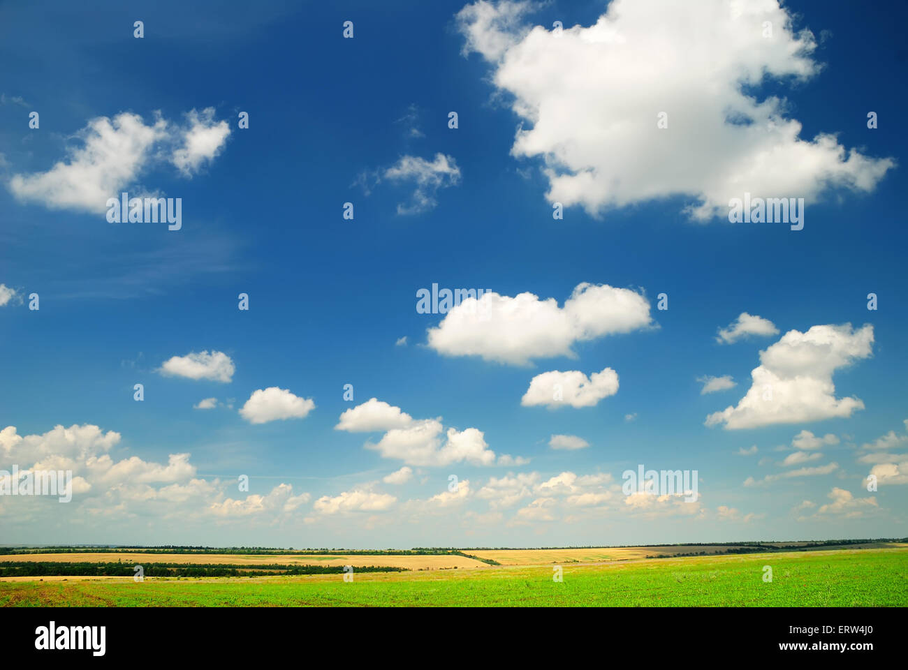 Summer landscape with the beautiful sky and fields Stock Photo - Alamy