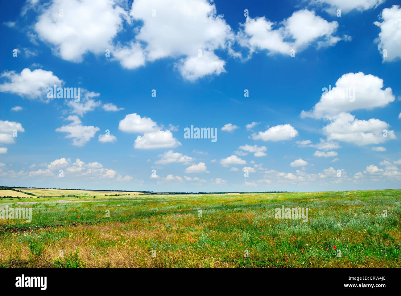 Summer landscape with the beautiful sky and fields Stock Photo - Alamy
