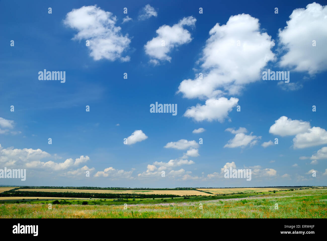 Summer landscape with the beautiful sky and fields Stock Photo - Alamy