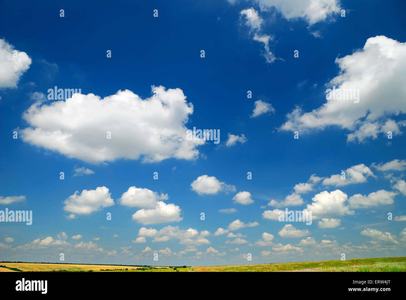 Summer landscape with the beautiful sky and fields Stock Photo - Alamy