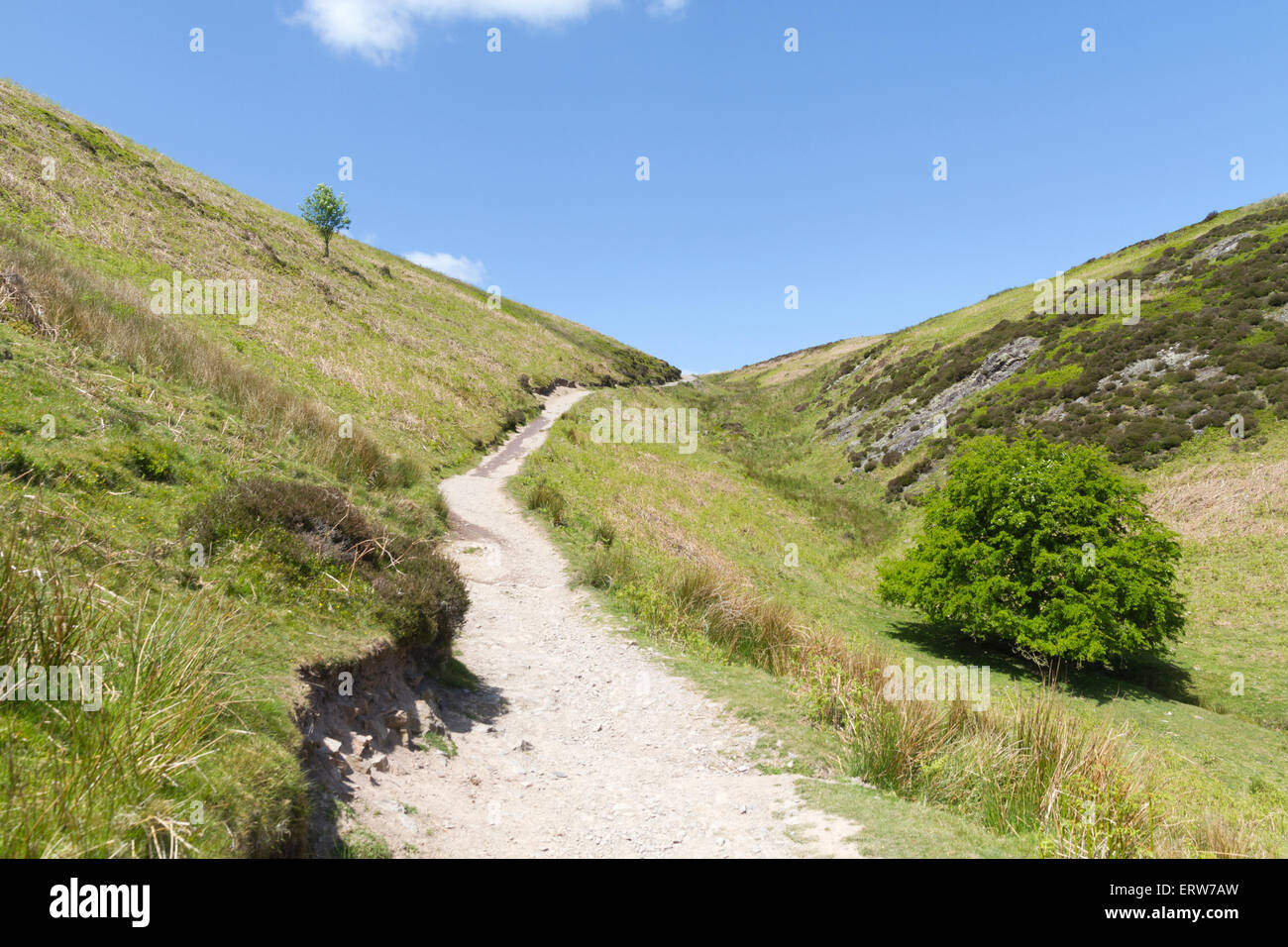 Motts Road leading onto the Long Mynd from Cardingmill Valley Stock ...