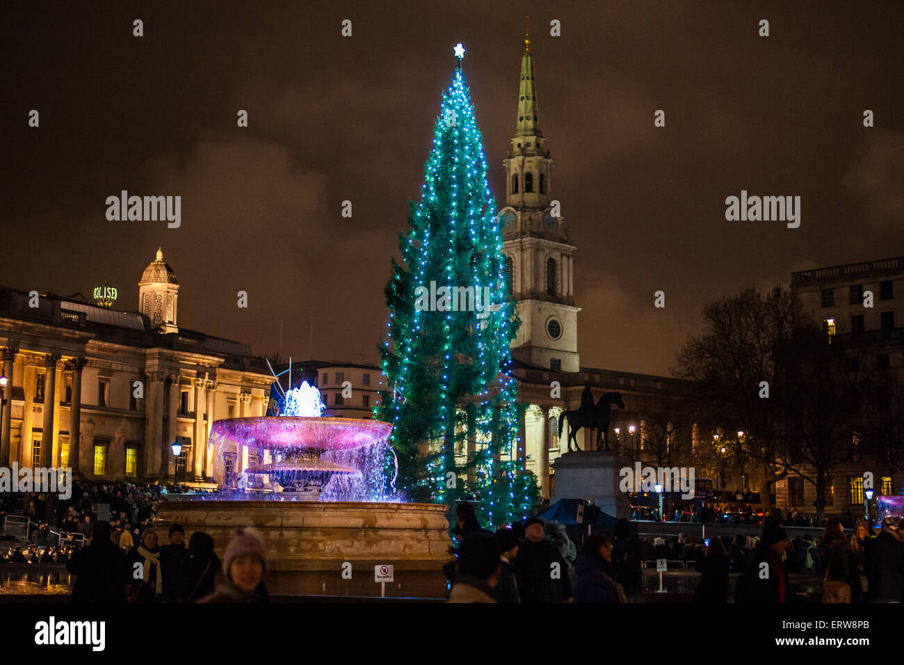 The lighting of the Christmas Tree in Trafalgar Square. The tree is