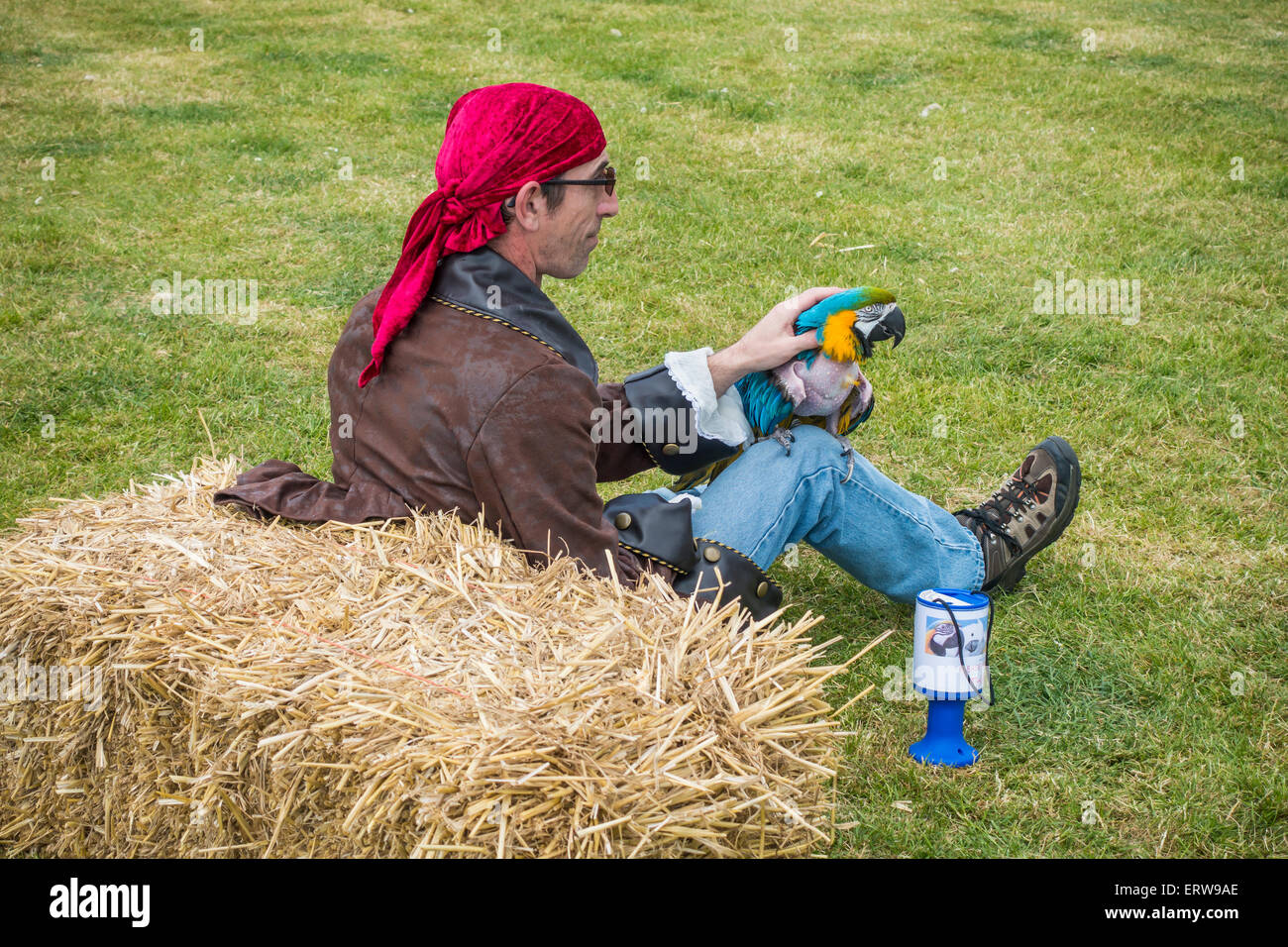 Pirate with Parrot Charity Collector Collection  Macaw Stock Photo