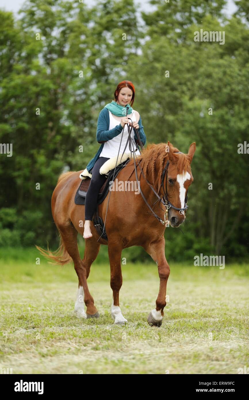 academic riding Stock Photo