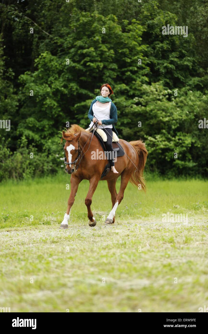 academic riding Stock Photo
