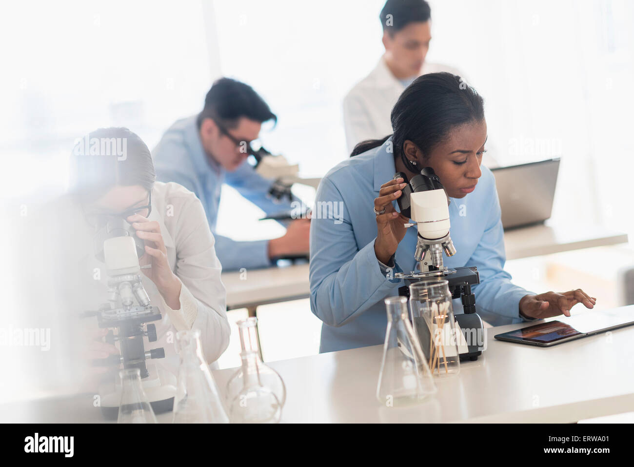 Scientists using microscopes and digital tablet in research laboratory Stock Photo