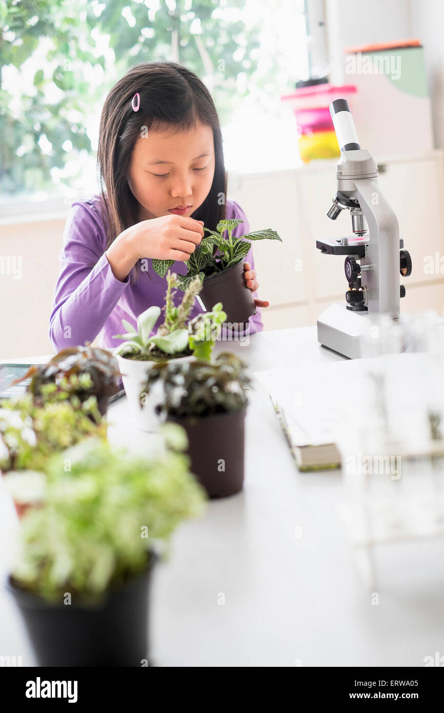 Chinese student examining plants in science lab Stock Photo