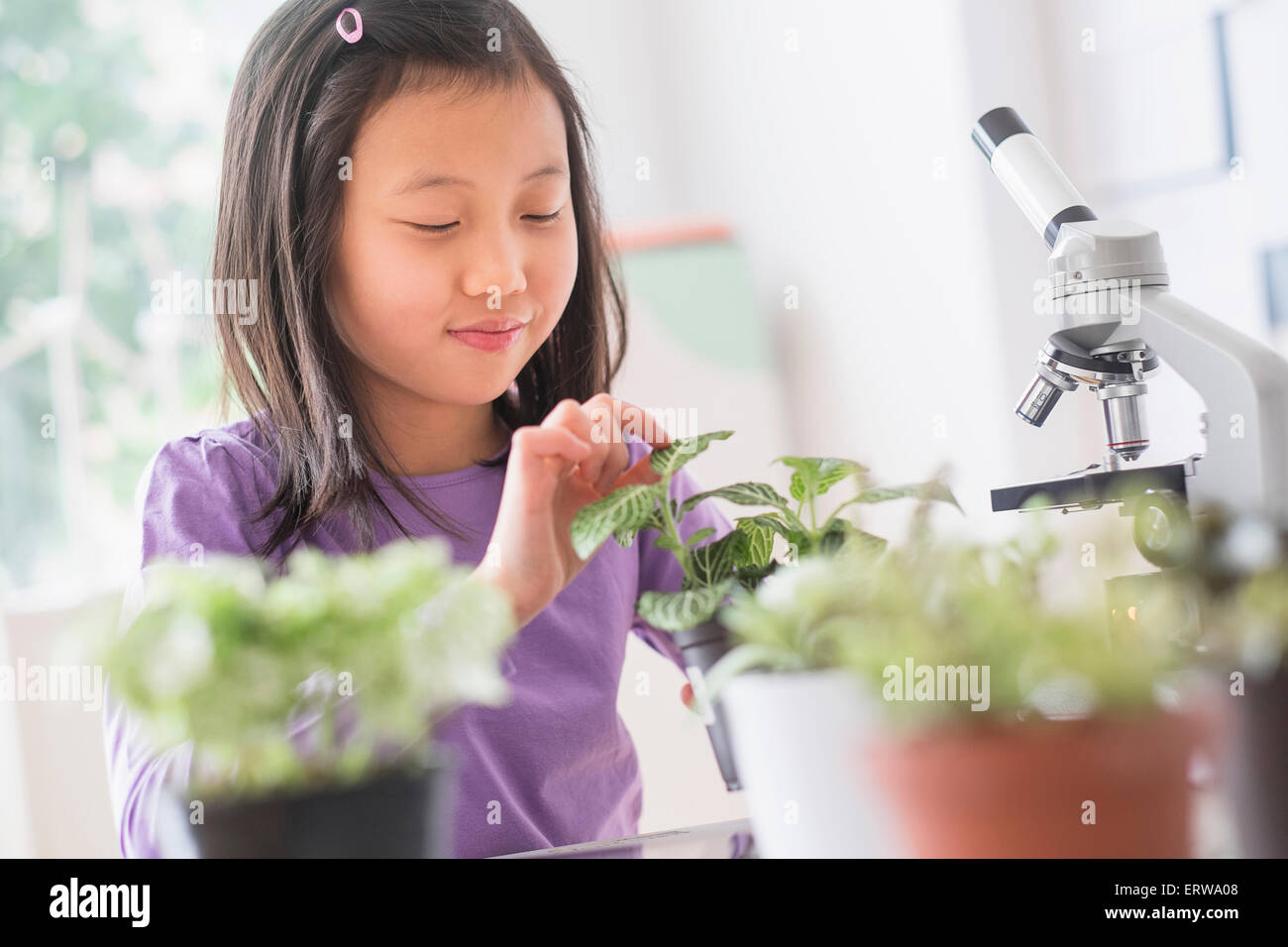 Chinese student examining plants in science lab Stock Photo