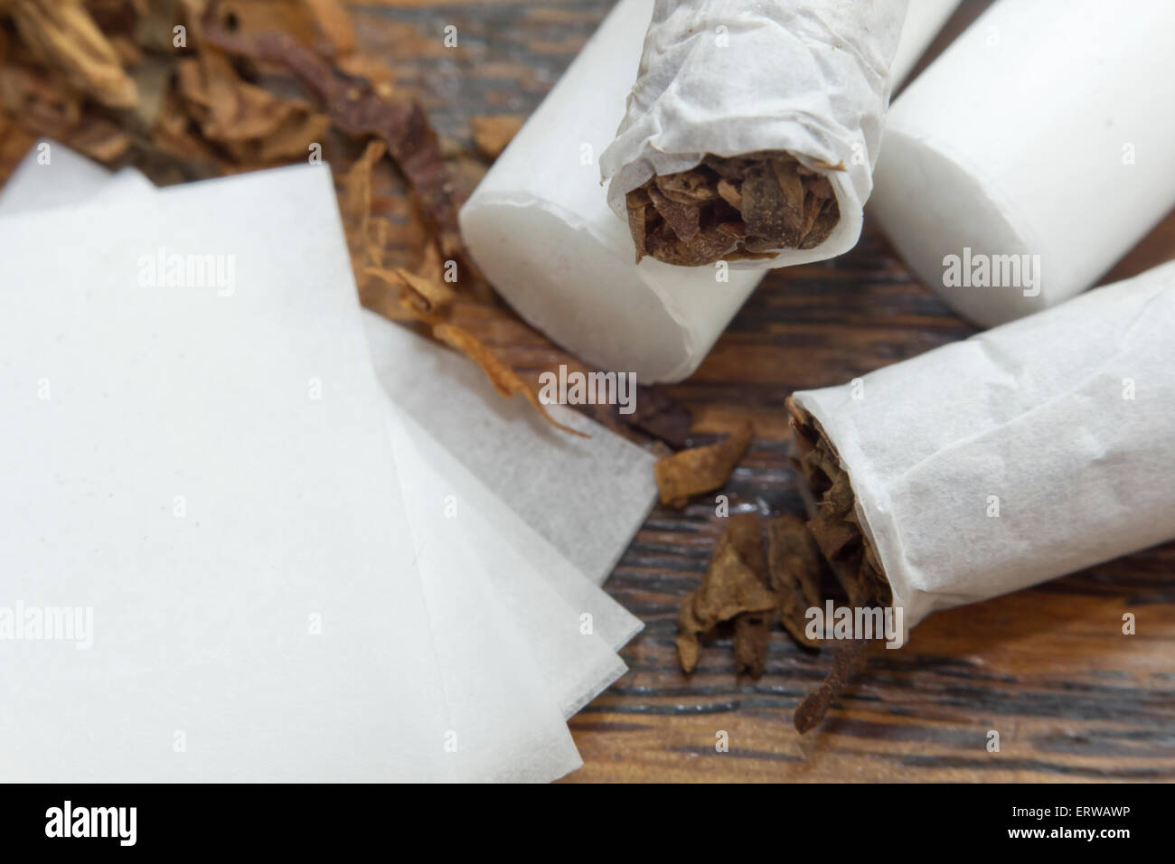 Rolling cigarettes with filters papers and plenty finely cut tobacco