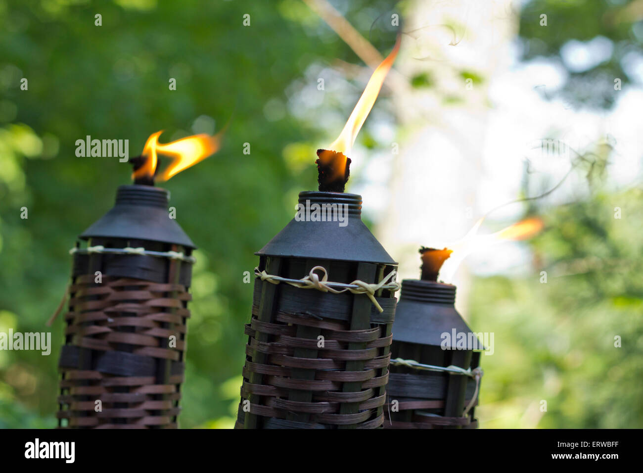 Bamboo citronella torches to repell mosquitoes and other insects Stock