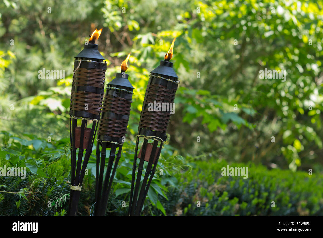 Bamboo citronella torches to repell mosquitoes and other insects Stock