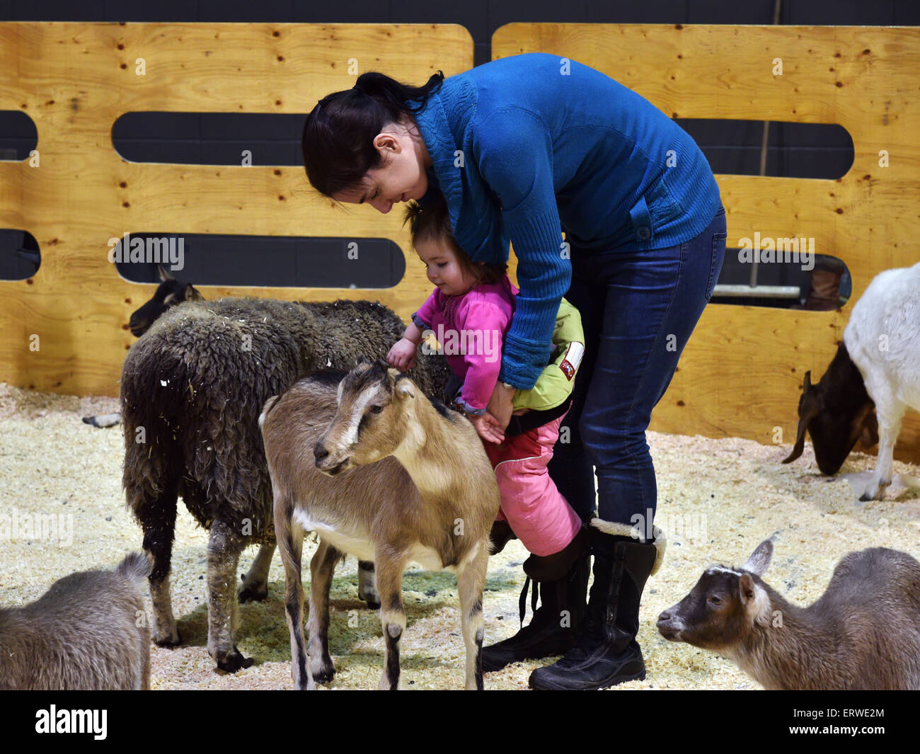 A mother and her infant daughter touching goats at a petting zoo Stock Photo
