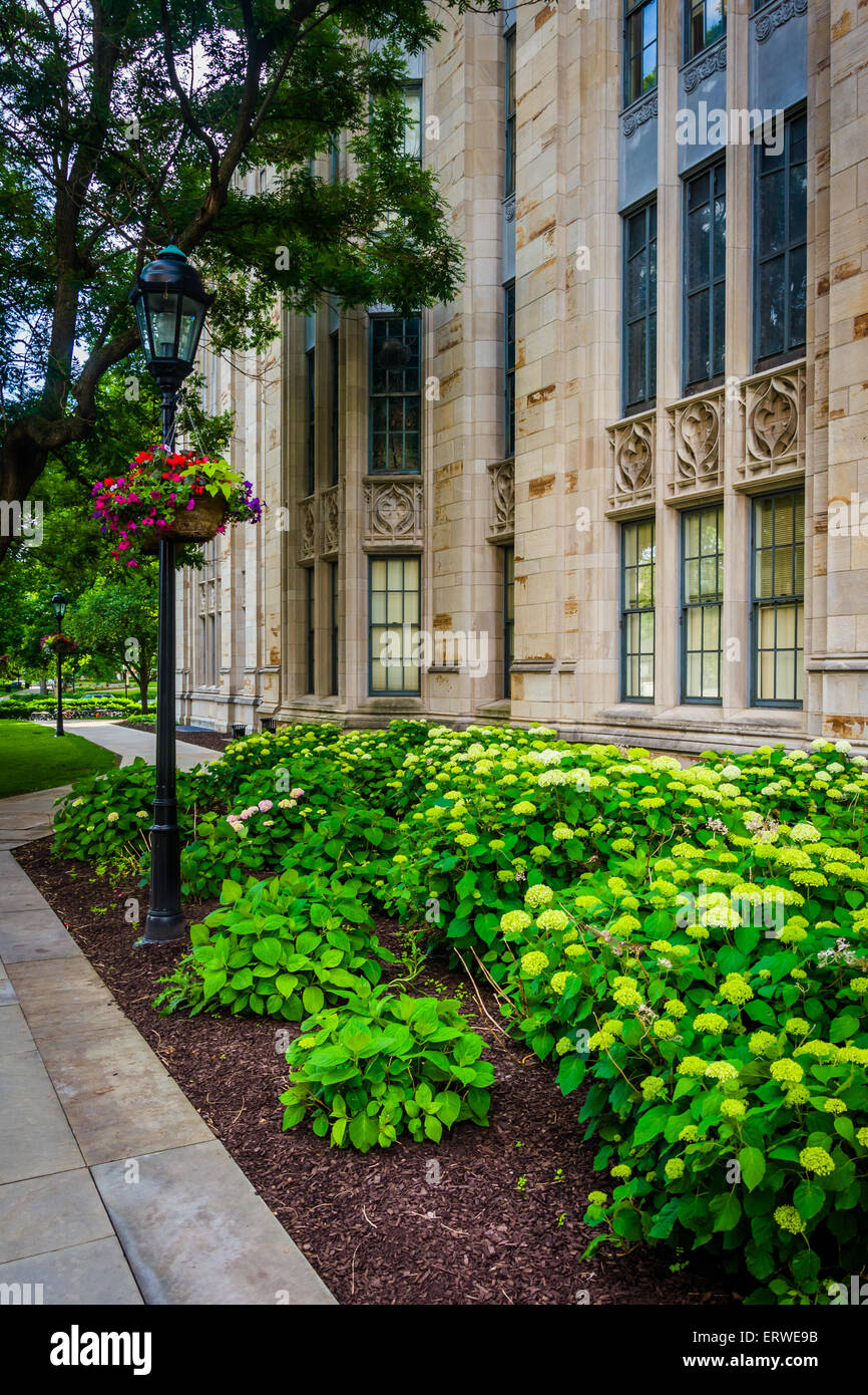 Gardens outside the Cathedral of Learning, at the University of