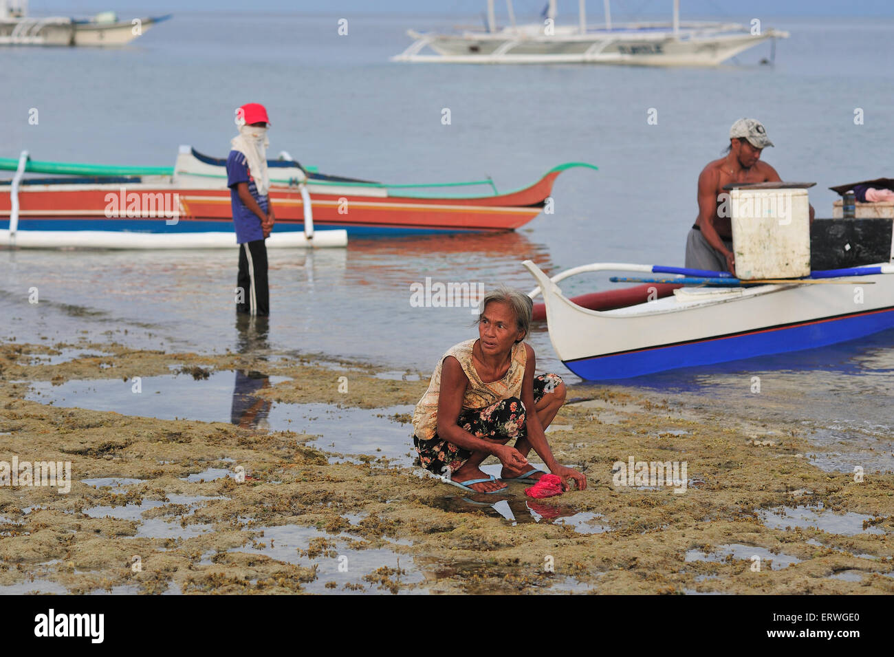 Elderly filipina collecting seafood on shoreline at Panagsama Beach Moalboal Cebu Province Philippines Stock Photo
