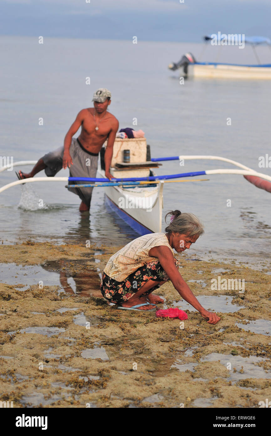 Elderly filipina collecting seafood on shoreline at Panagsama Beach Moalboal Cebu Province Philippines Stock Photo