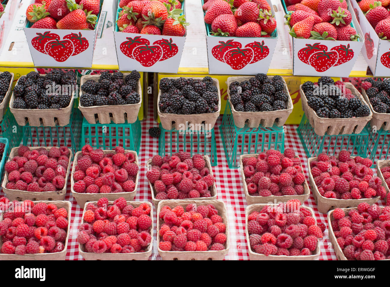 Basket a frange Clearance