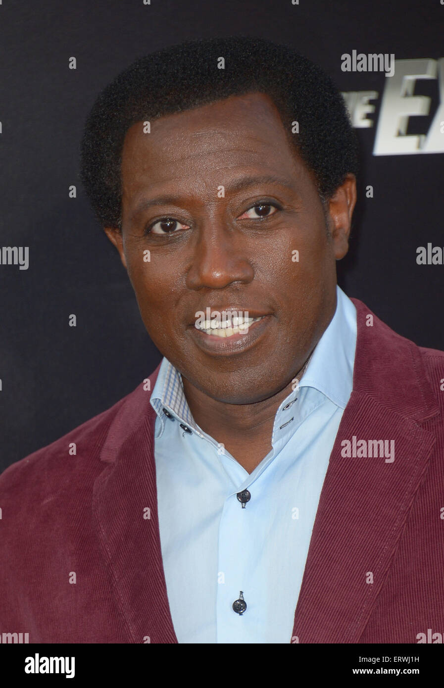 Wesley Snipes, Los Angeles, CA Stock Photo Alamy