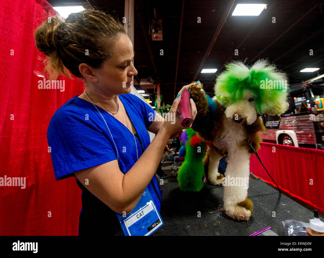 Somerset, New Jersey, USA. 08th June, 2015. CAT OPSON transforms her