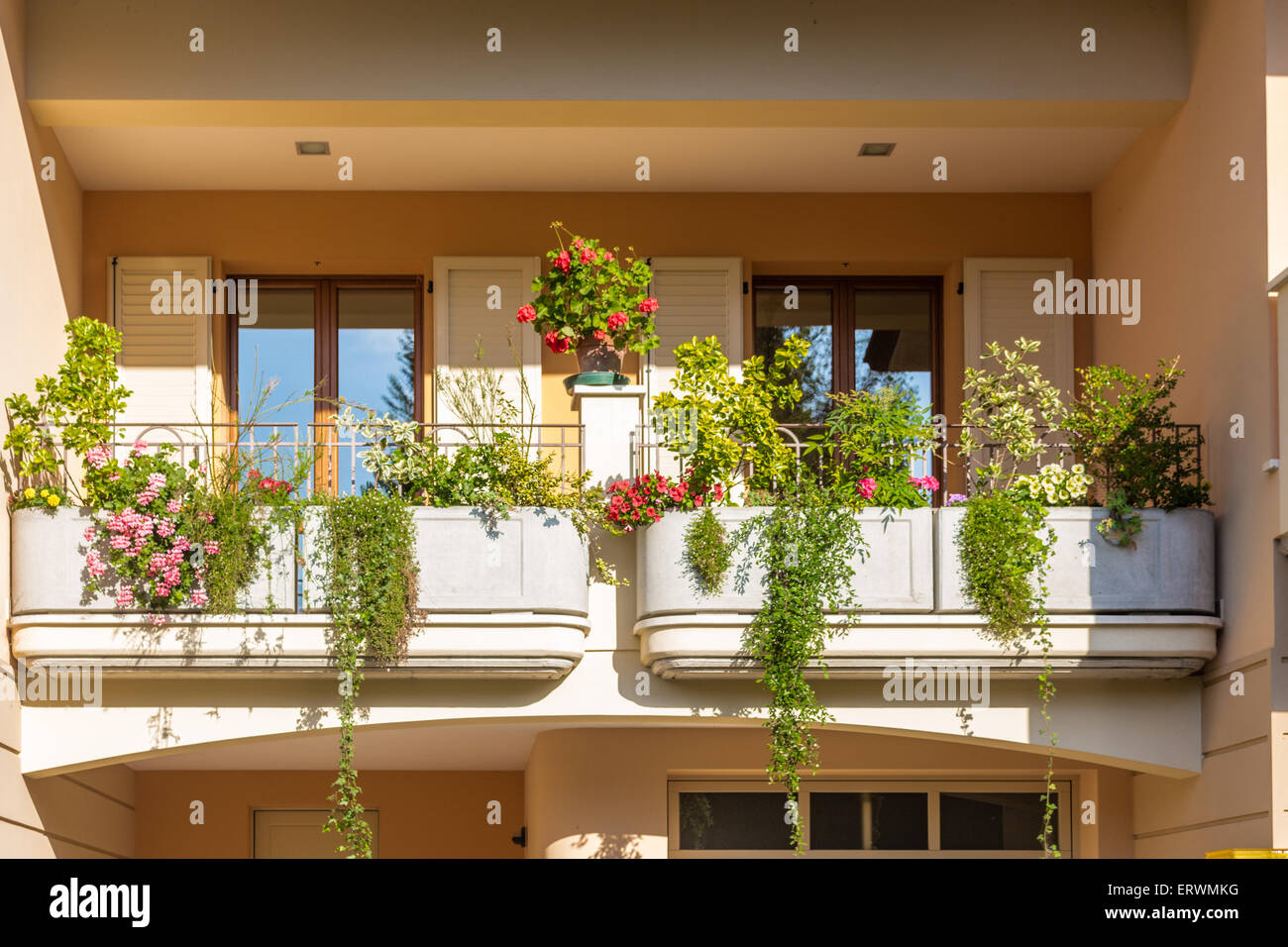 window with iron grating and flower pots: red and pink geranium, white  petunias Stock Photo