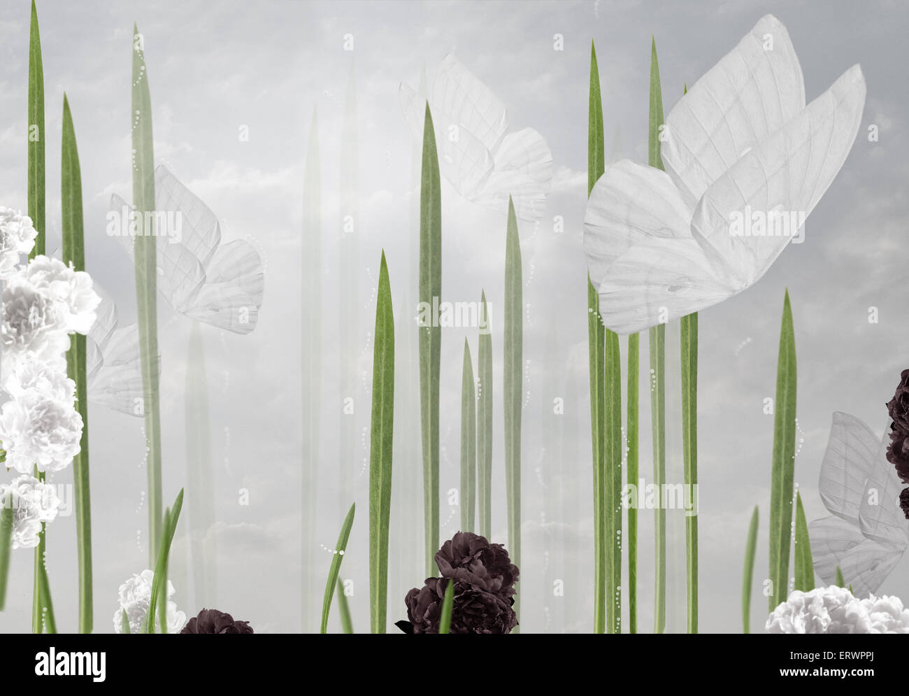 Abstract Floral Background with Butterflies Stock Photo